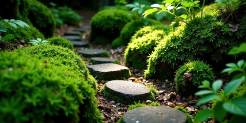 Serene Stepping Stones Through a Lush Moss Garden, Illuminated by Gentle Sunlight