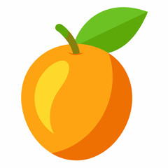 abiu fruit vector  illustration