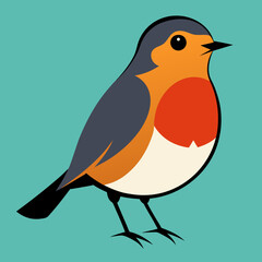 american robin vector  illustration