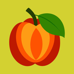 ackee fruit vector  illustration