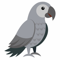 african grey parrot illustration