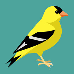 illustration of a goldfinch