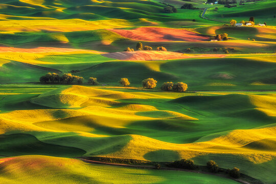 The rolling hills of eastern Washington's Palouse seen from the top of Steptoe Butte.