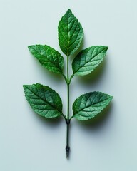 A sprig of vibrant green leaves with five leaves arranged symmetrically on a stem against a light teal background.
