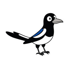 Magpie Cartoon vector