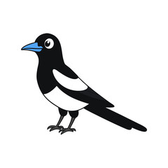 Magpie Cartoon vector