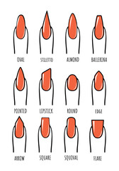  types of nails manicure vector sketch. collection of nail shapes vector drawing. female finger with red nails vector sketches for nail shapes
