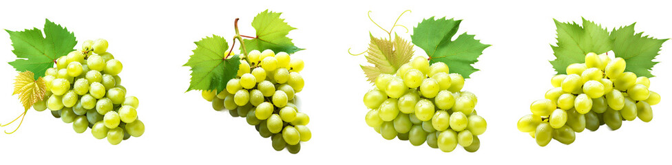 Four bunches of green grapes isolated on black background