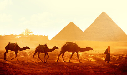Horizontal banner with caravan of camels and Great Pyramids of Chephren and Cheops, Cairo, Egypt....