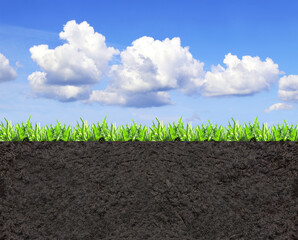 Environmental and conservation protection background. Cross section of grass and soil against blue...