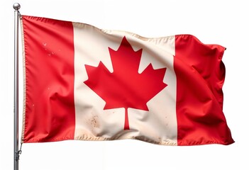 Canadian flag isolated on white background