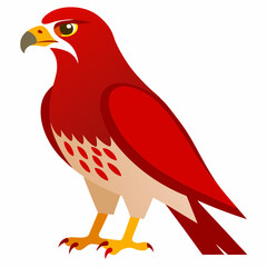 red hawk vector art