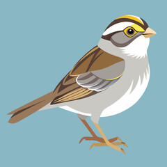 sparrow vector art