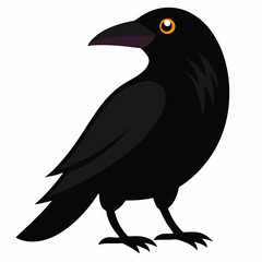 illustration of a crow