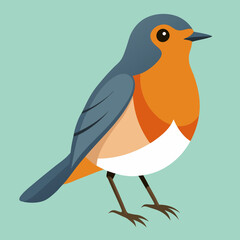 american robin vector