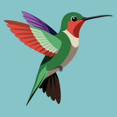 Obraz premium hummingbird in flight