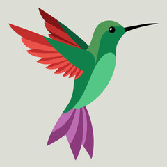 anna's hummingbird