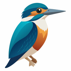 illustration of a kingfisher