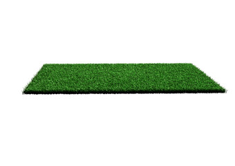Rectangular Shape Green Grass Field 3D Illustration