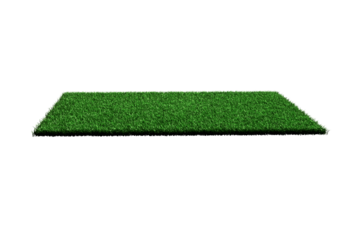 Rectangular Shape Green Grass Field 3D Illustration