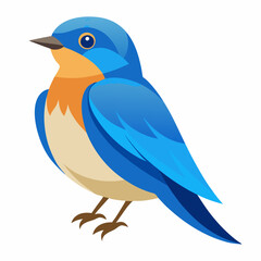 eastern bluebird vector