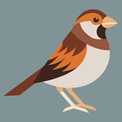 vector art of harris's sparrow 