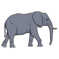 elephant vector illustration