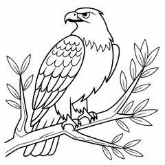 bird coloring page ,kids coloring page , coloring page for kids, animal coloring page, KDP, Animal Coloring Page For Kids