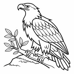 bird coloring page ,kids coloring page , coloring page for kids, animal coloring page, KDP, Animal Coloring Page For Kids