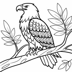 bird coloring page ,kids coloring page , coloring page for kids, animal coloring page, KDP, Animal Coloring Page For Kids