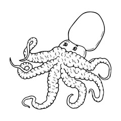 octopus line vector illustration