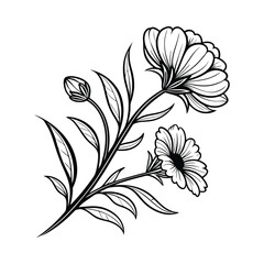 black and white drawing of a flower illustration