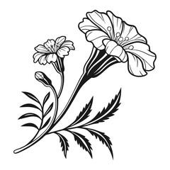 black and white drawing of a flower 