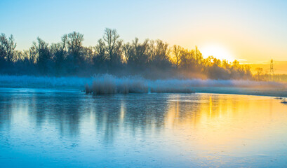 The edge of a frozen lake in light of sunrise in winter, oostvaardersveld, almere, flevoland, netherlands, January 11, 2025