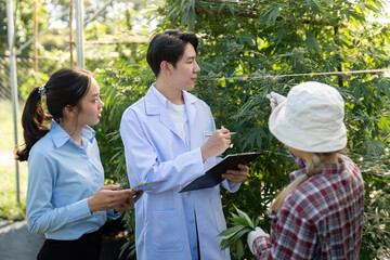 Cannabis researchers guiding a workshop on plant examination in a vibrant greenhouse environment