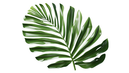 Close-up of isolated leaf on white background showcasing its fresh, natural beauty