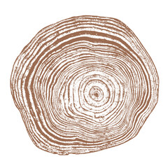 Tree wood texture. Wooden old trunk. Cut timber log. Abstract rings nature pattern. Brown circle stump. Wood cross section.