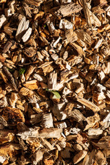 Background of wood chips, oganic gardening