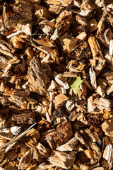 Background of wood chips, oganic gardening
