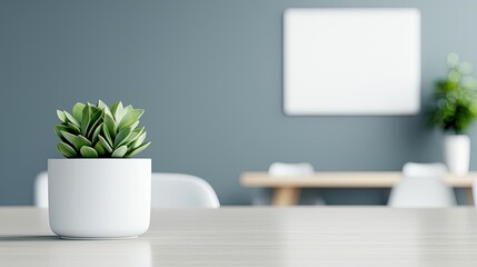 Minimal symmetry concept. A modern interior featuring a small potted plant on a minimalist table.