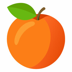 illustration of an apricot