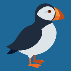 vector art of a atlantic puffin
