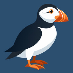 illustration of a atlantic puffin