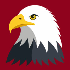 bald eagle illustration