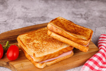 Savory Cheese and Ham Sandwiches with Fresh Tomatoes on a Dark Table