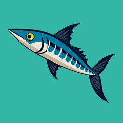 barracuda vector