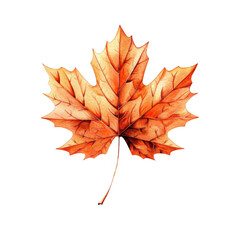 Stunning Autumn Maple Leaf in Vibrant Orange Against a Black Background