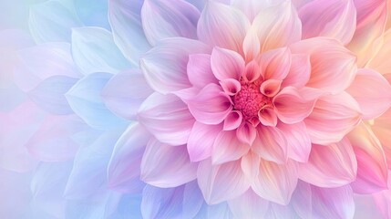 Minimal symmetry concept. A vibrant, colorful flower bloom with soft pastel shades, perfect for spring themes.