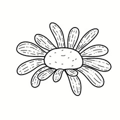 Hand-Drawn Daisy Flower Clipart Set - Line Art and Colored Designs