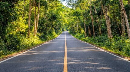 Obraz premium A quiet asphalt road in the middle of a dense forest, illuminated by warm sunlight filtering through the trees.